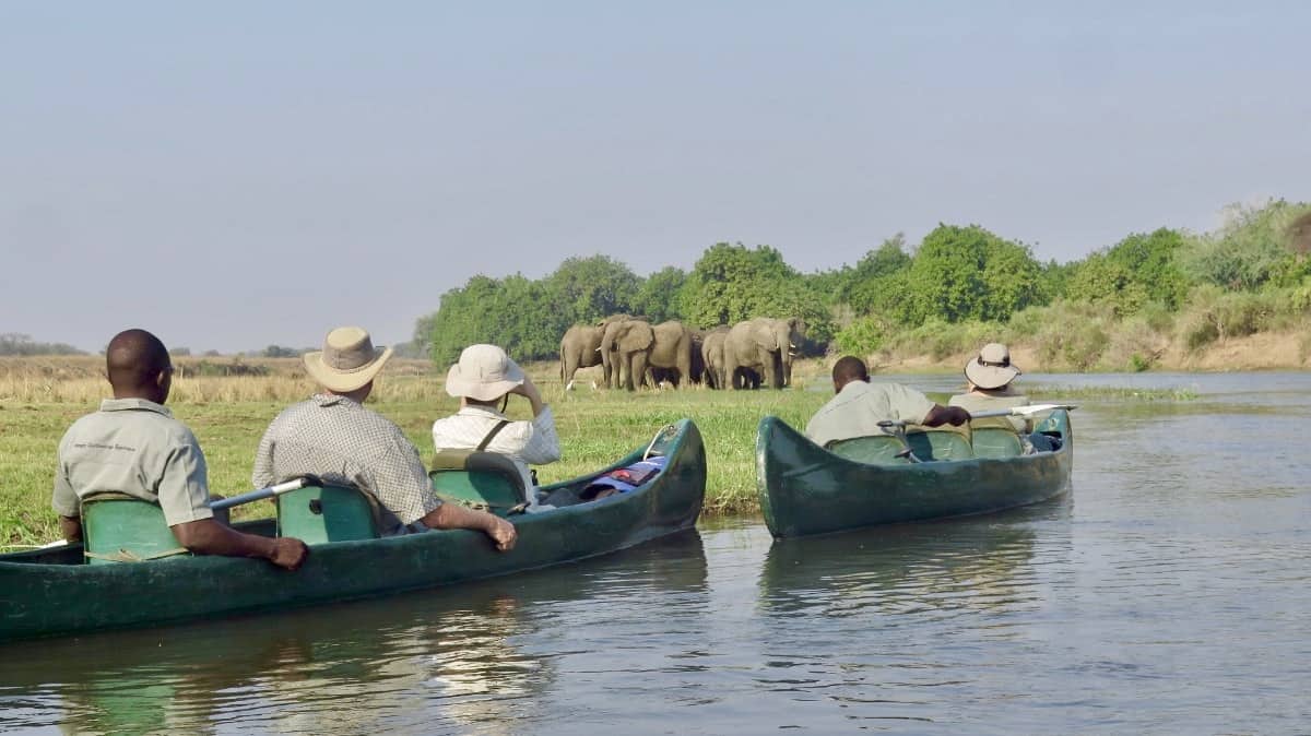 Zambia canoeing with elephants