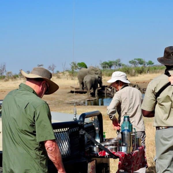 morning tea with elephants on your African safari