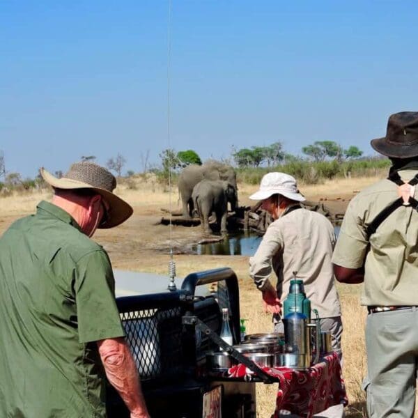 morning tea with elephants on your African safari