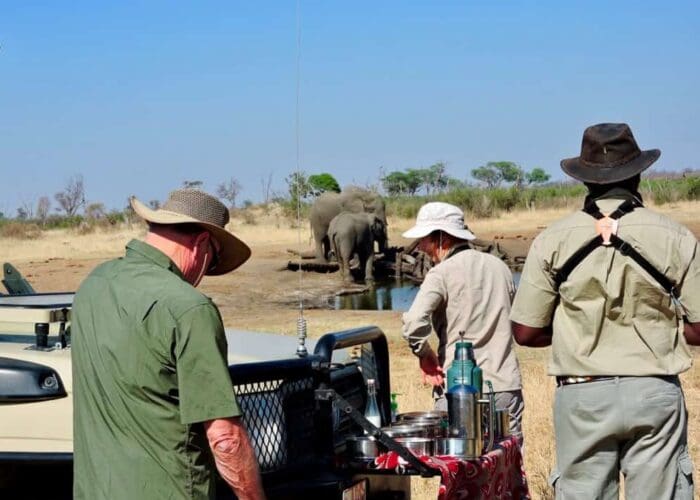 morning tea with elephants on your African safari