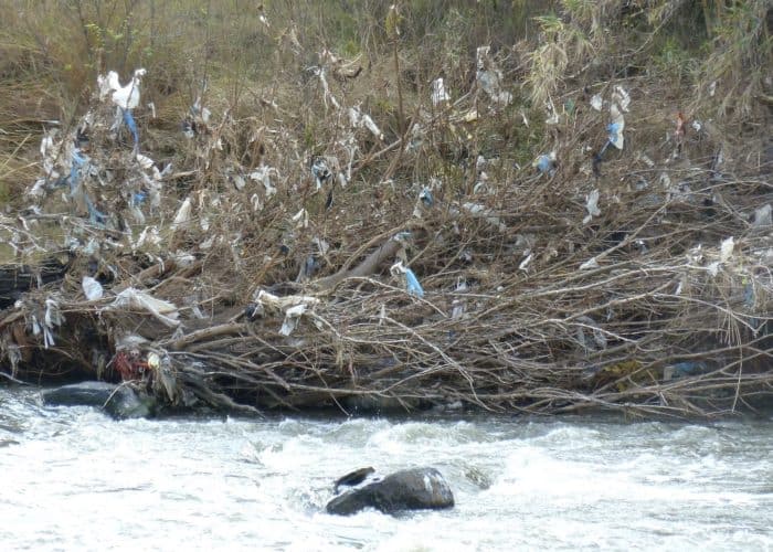 single-use plastic bags