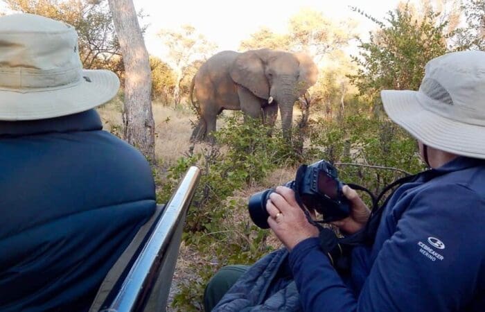 safari in Africa