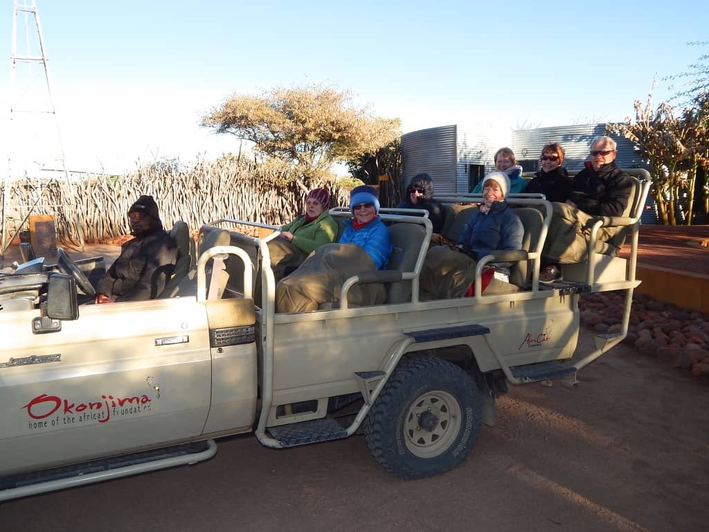 morning game drive Namibia, planning an African safari