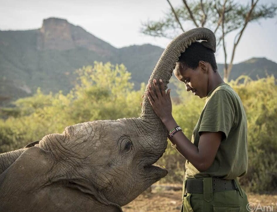 Reteti Elephant Sanctuary kenya