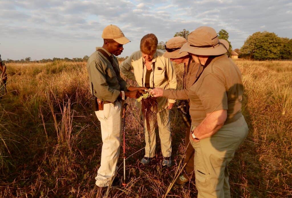 small group guided walk zambia