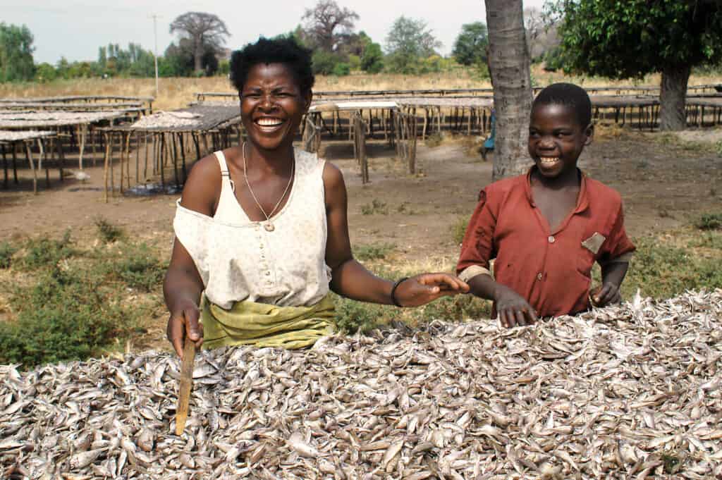 Malawi fish drying