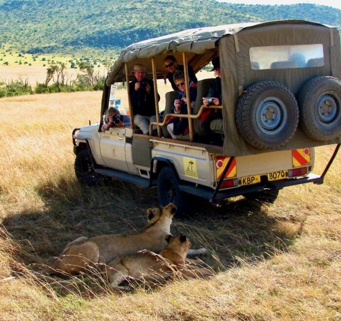 lions and vehicle Kenya