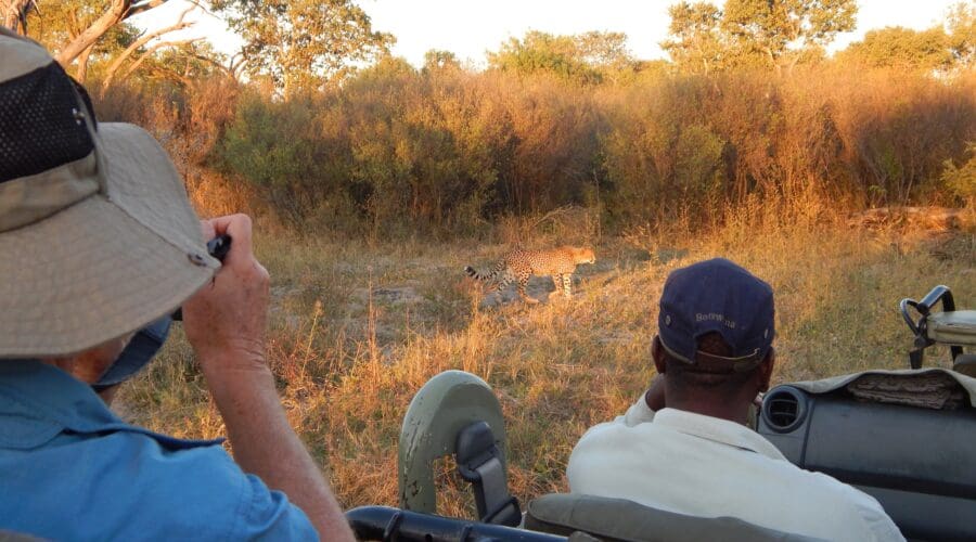 botswana mobile safari