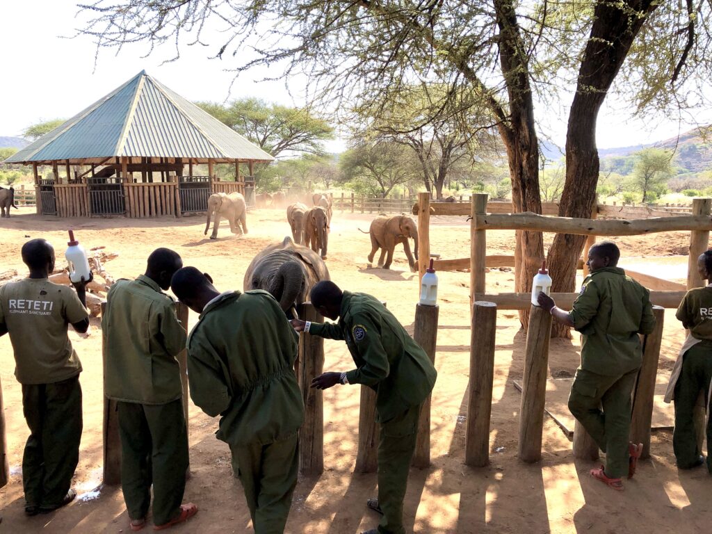 reteti sanctuary sustainable safari kenya