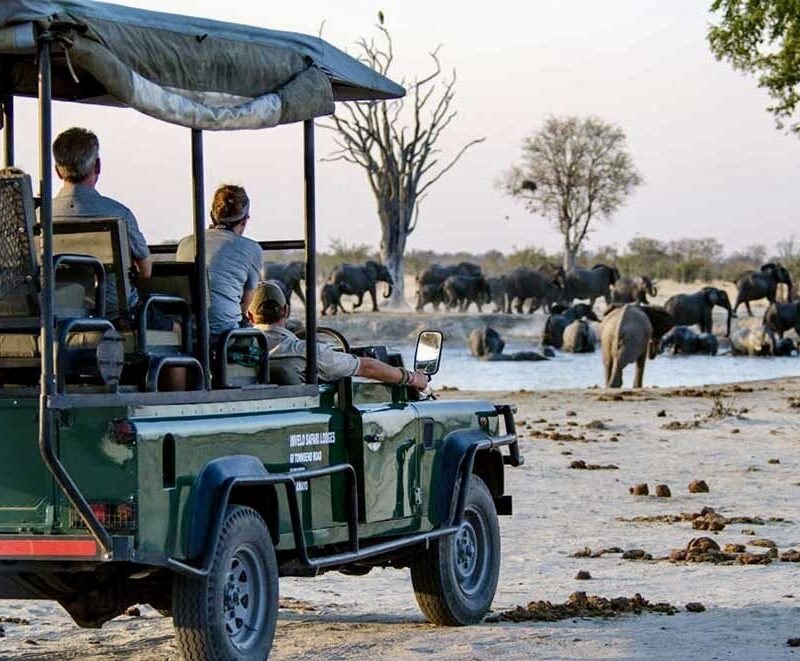 vehicle with elephants
