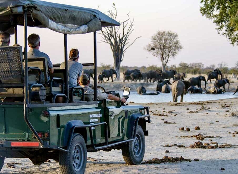 vehicle with elephants